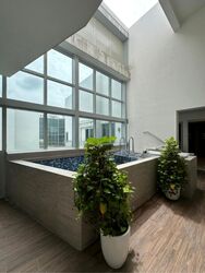 Queens Peak (D3), Condominium #517506171